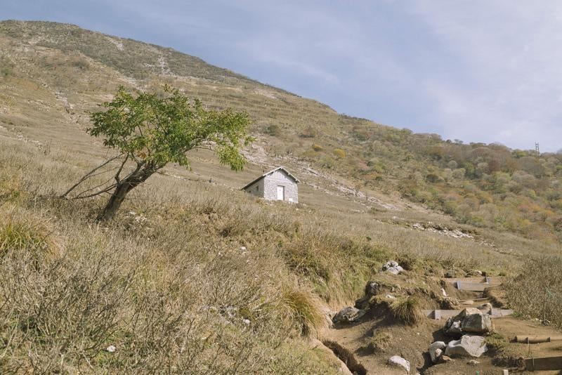 孤高の木と石造りの伊吹山避難小屋の写真