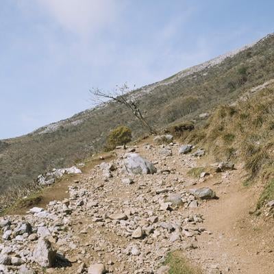 荒涼とした斜面を登る伊吹山の写真