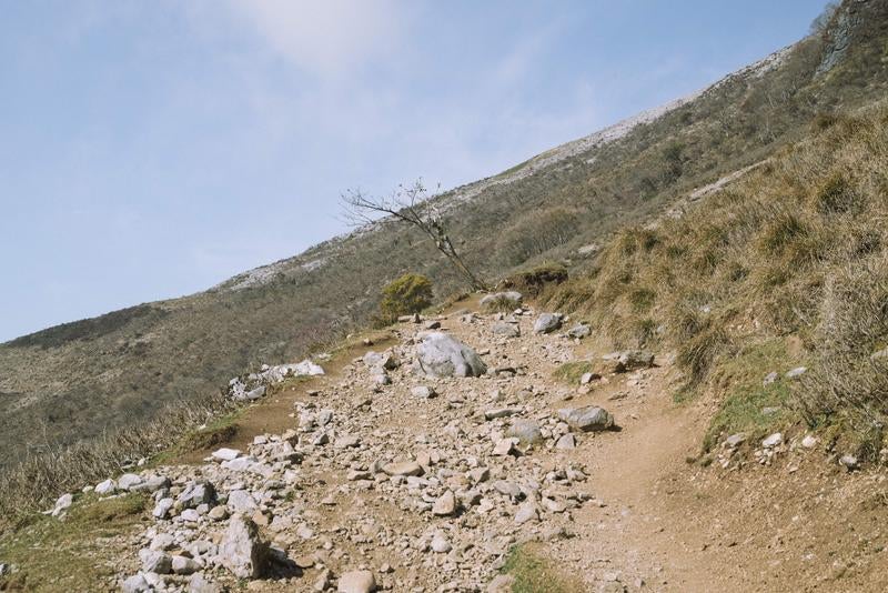 荒涼とした斜面を登る伊吹山の写真