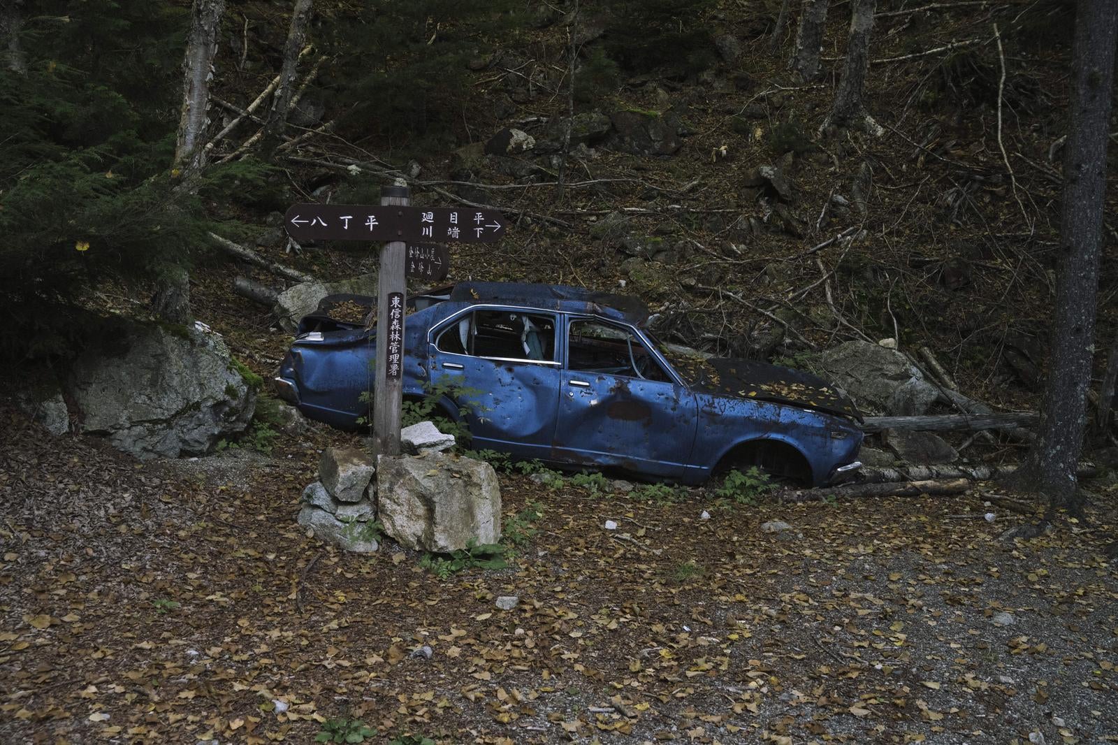 「廻目平登山口側の目印の青い廃車」の写真