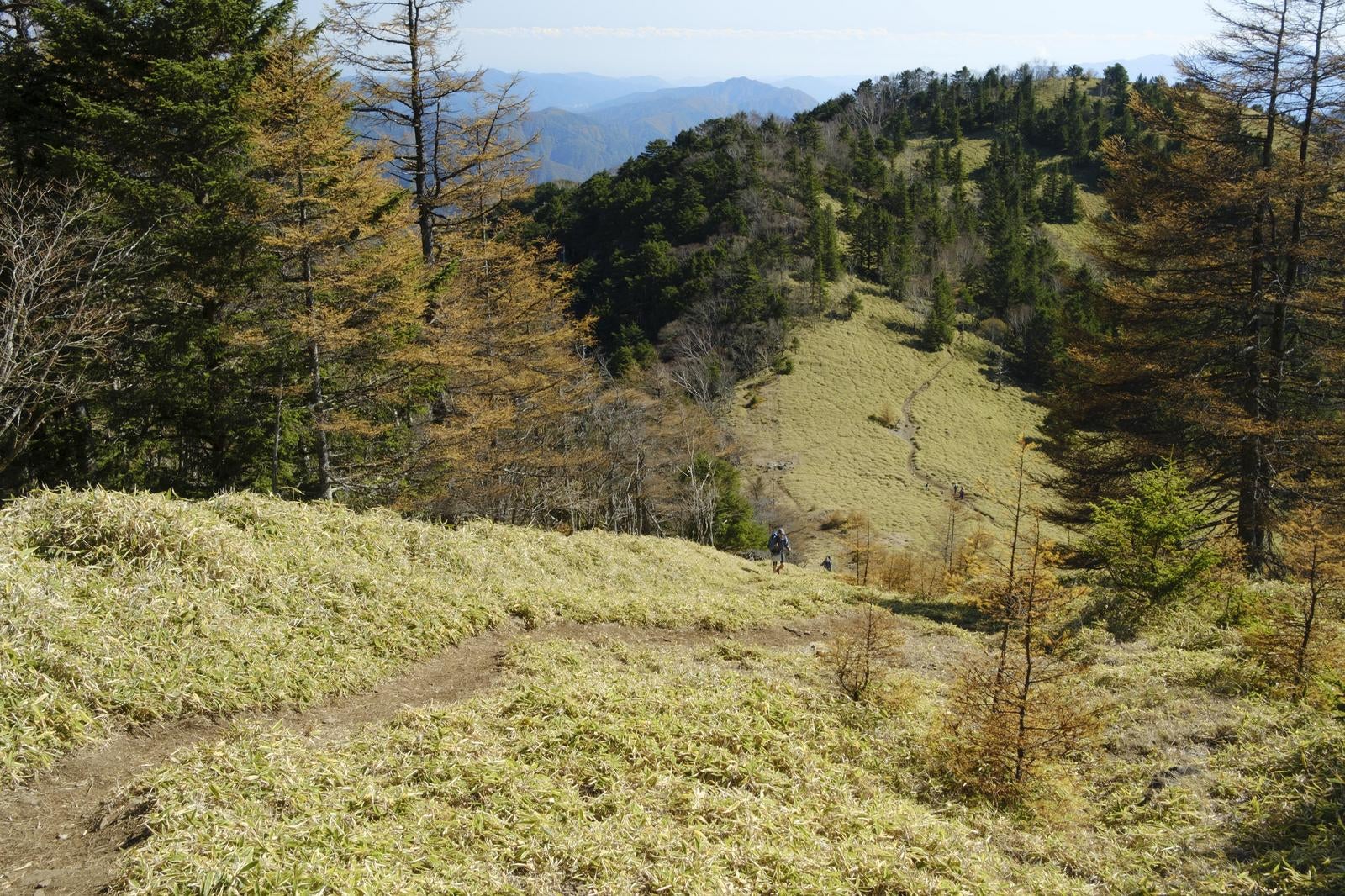 「紅葉の石丸峠の尾根沿いの小道」の写真