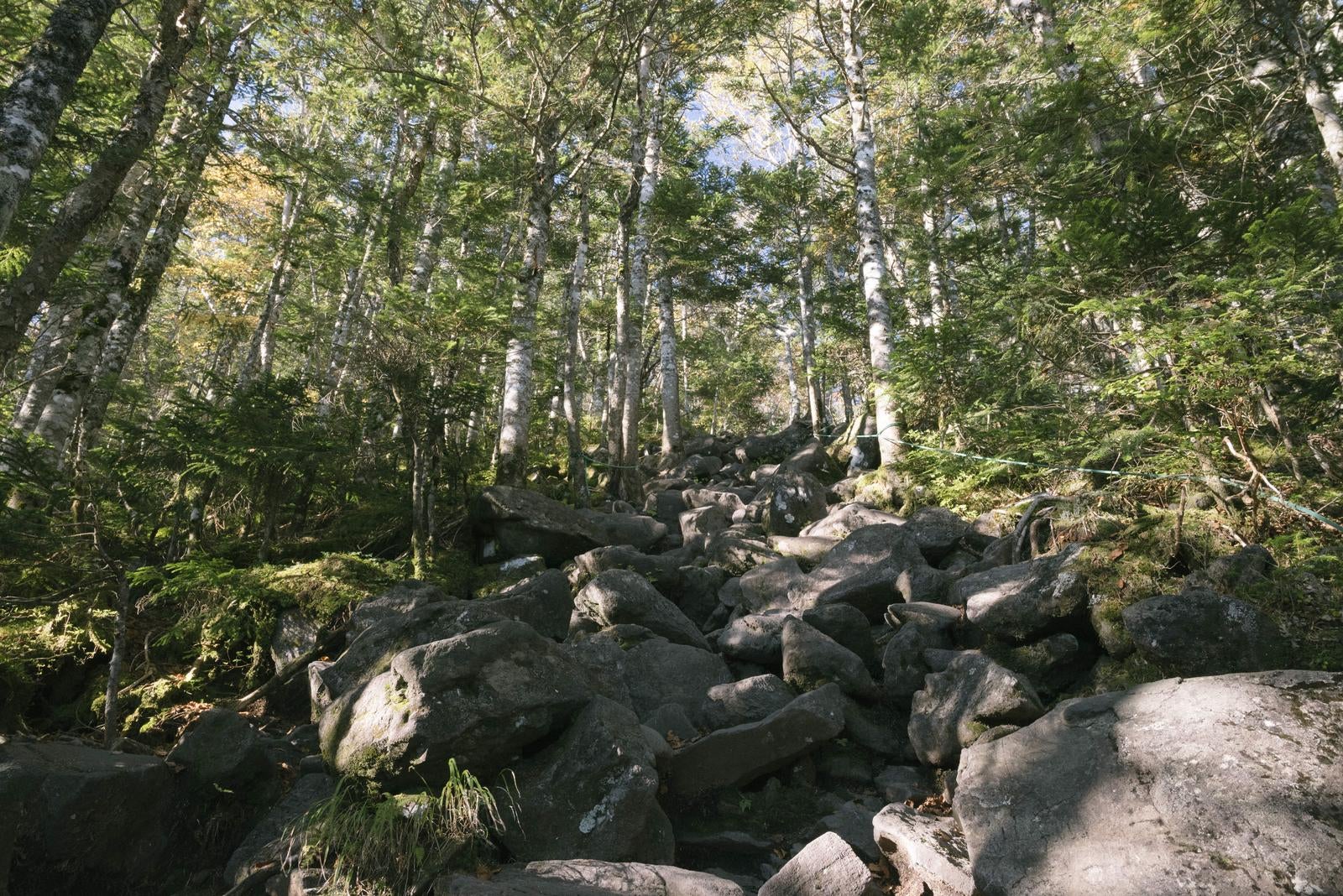 「蓼科山荘から山頂への登り道」の写真