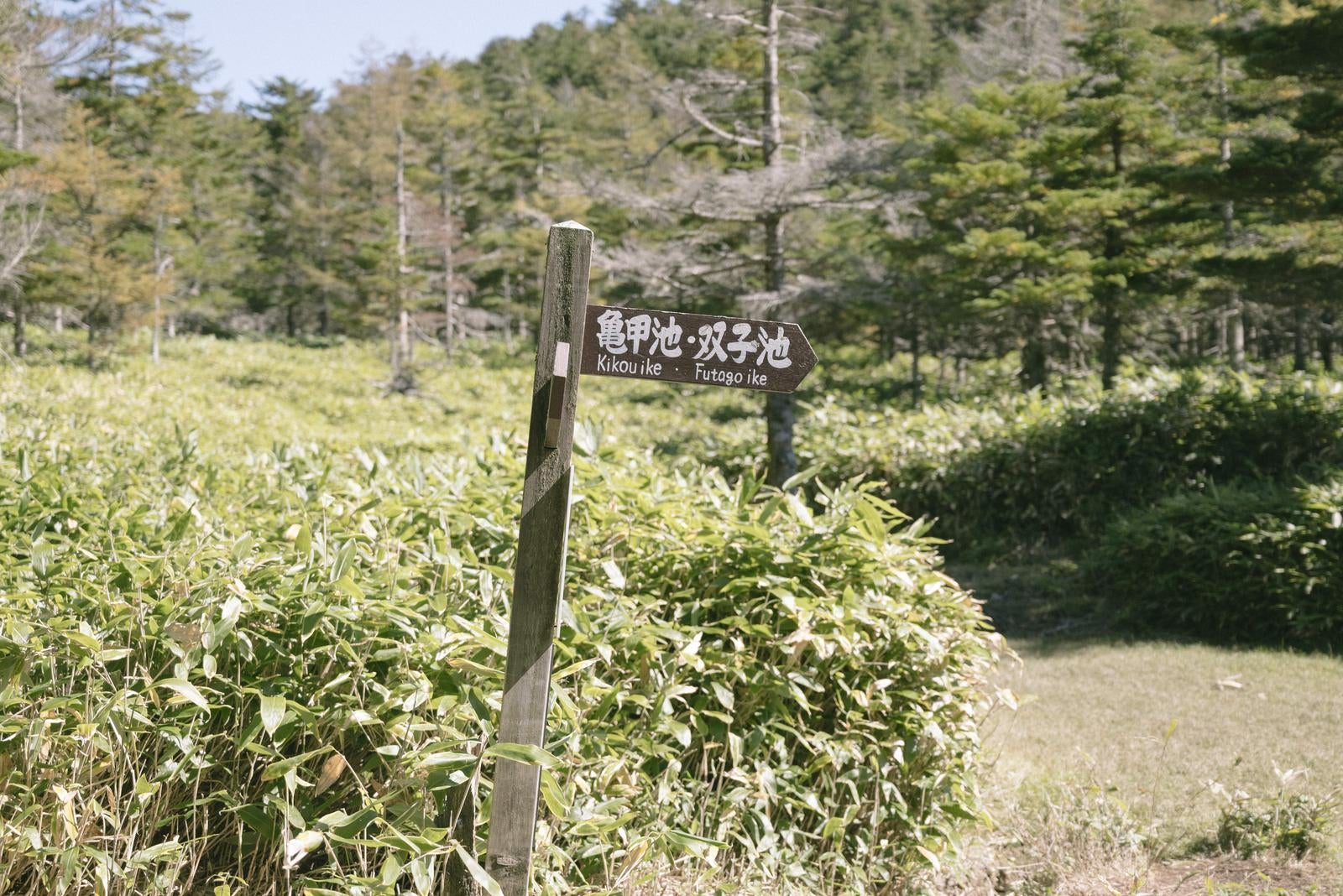 「亀甲池へ誘う素朴な木製案内板」の写真