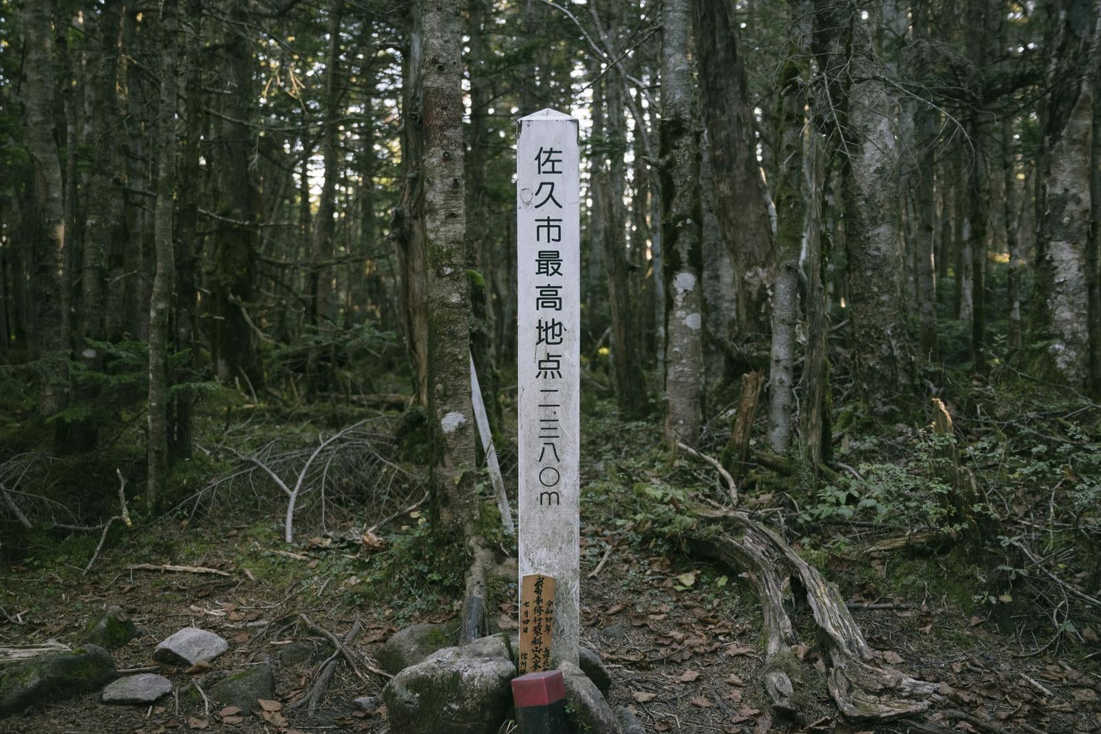 「山深い森の中に佇む佐久市最高地点の標識」の写真