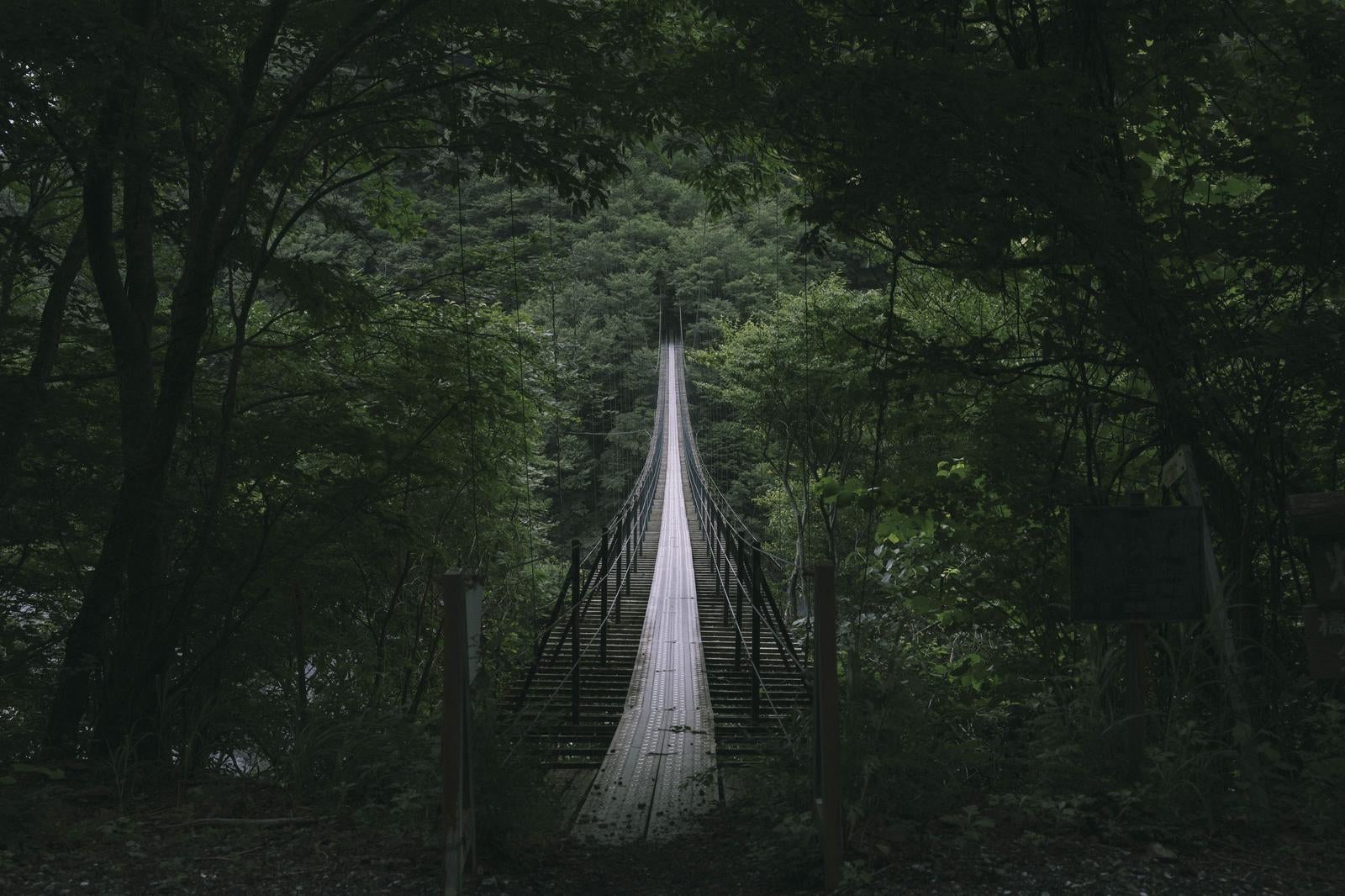 「デスブリッジこと畑薙大吊橋」の写真