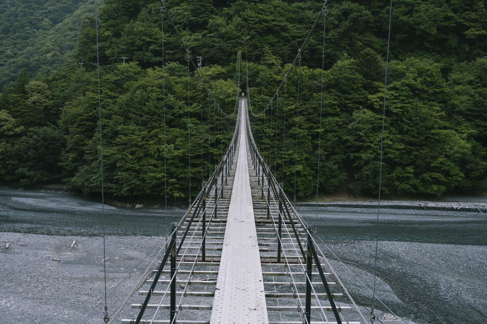 「吊り橋を渡る先に広がる静寂の森の世界」の写真