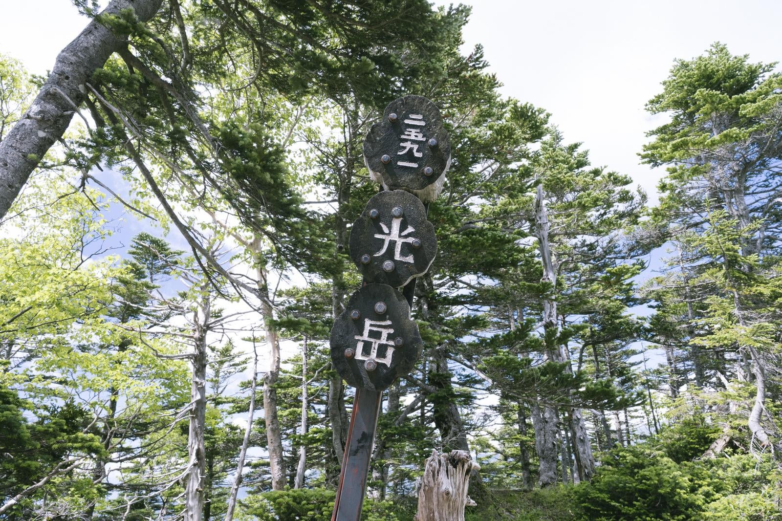 「光岳山頂の木柱」の写真