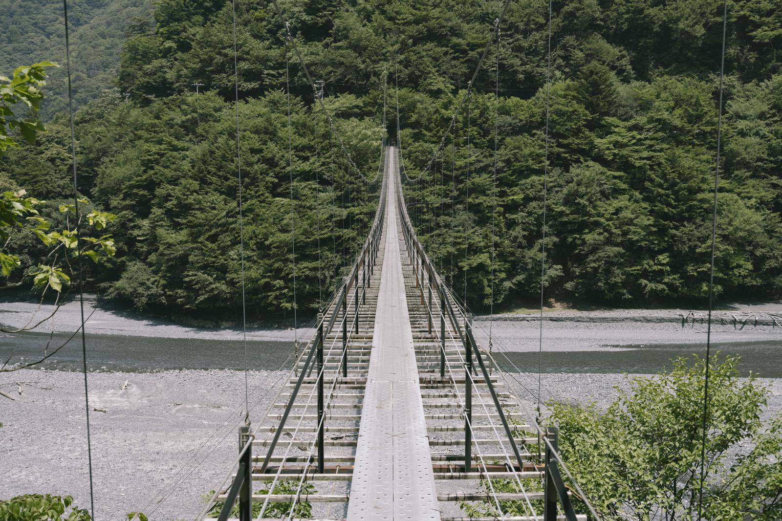 「沼平へ向かう畑薙大吊橋」の写真