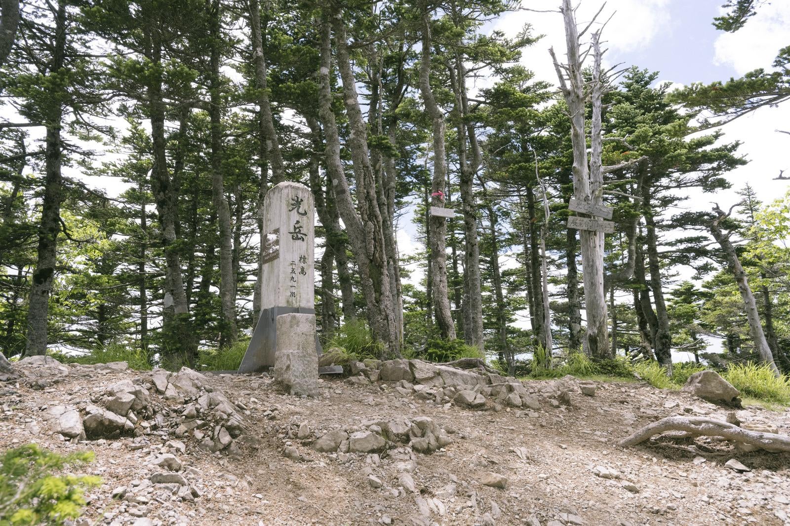 「樹々に囲まれた荘厳な光岳山頂」の写真
