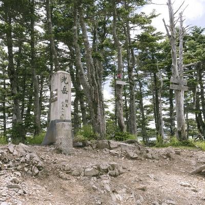 樹々に囲まれた荘厳な光岳山頂の素材