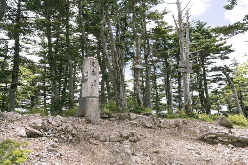 樹々に囲まれた荘厳な光岳山頂の写真