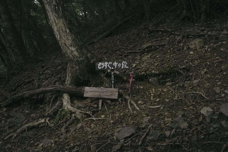 森に佇む「もうすぐ中の段」の標識の写真