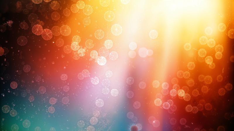 光の粒子や水滴のような丸い模様が映り替わる様子の写真