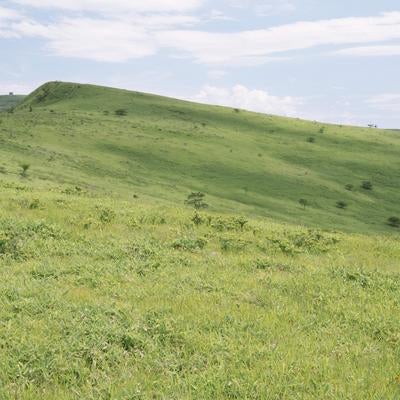 天上の草原が広がる霧ヶ峰の写真