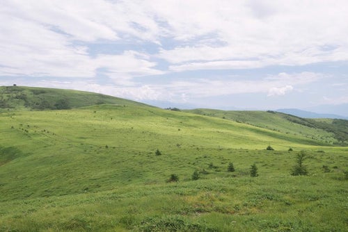 牧場のような草原が広がる霧ヶ峰の写真