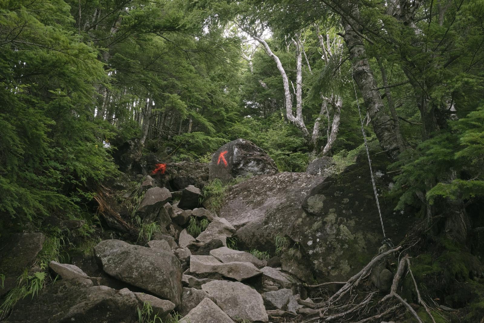 「厳しいのぼりが続く男体山登山道」の写真