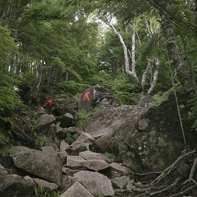 厳しいのぼりが続く男体山登山道の写真