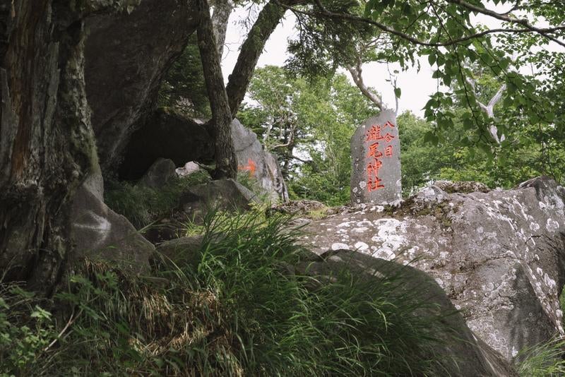 木陰から望む男体山八合目瀧尾神社石碑の写真