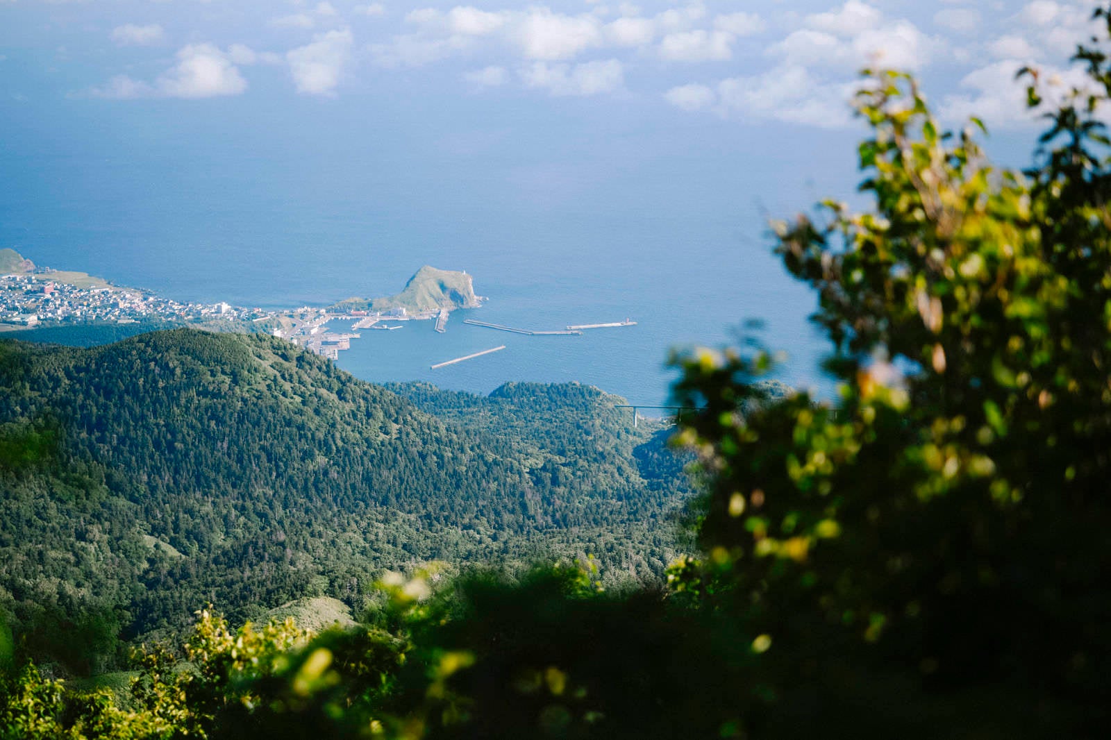 「利尻山から眺める鴛泊港」の写真