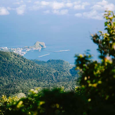 利尻山から眺める鴛泊港の写真