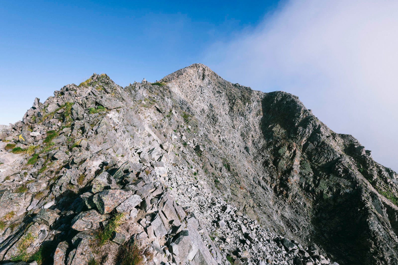 「釣り尾根から見上げる奥穂高岳」の写真
