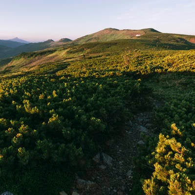 朝の太郎平の眺めの写真