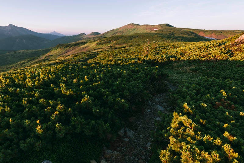 朝の太郎平の眺めの写真