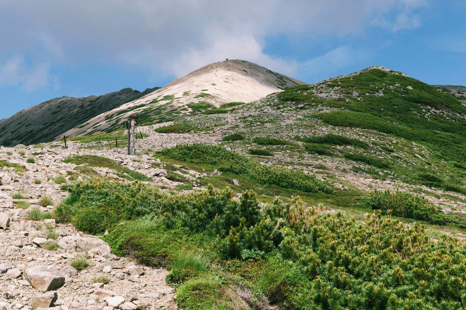 「薬師岳中腹から山頂方面を眺める」の写真