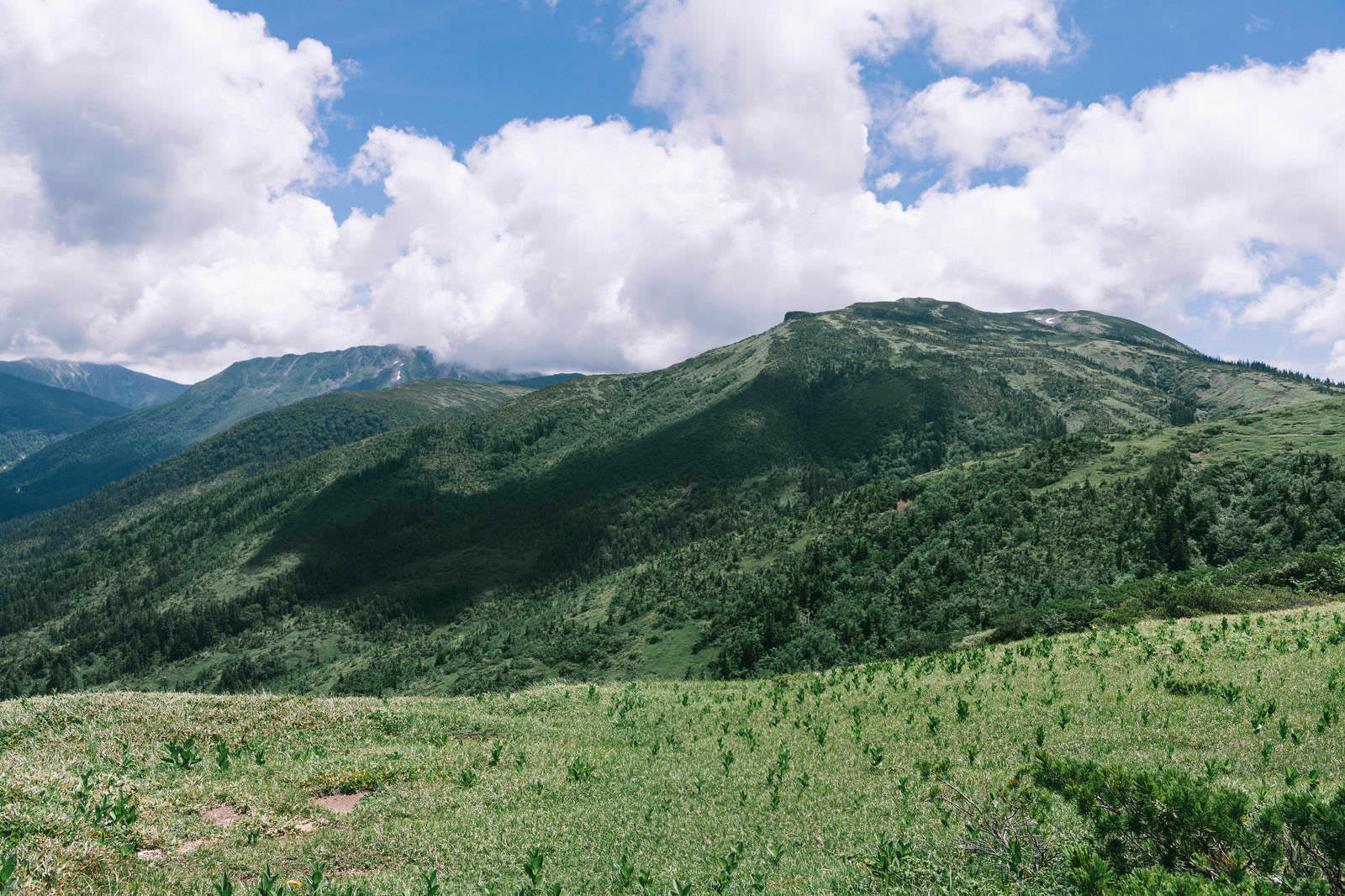 「雲に覆われた黒部五郎岳」の写真