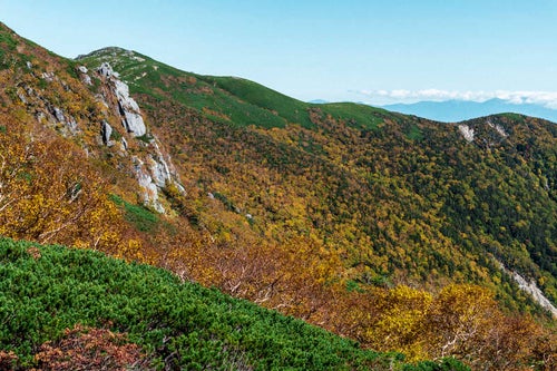 黄葉が付くしい中央アルプス木曽駒ヶ岳稜線の写真