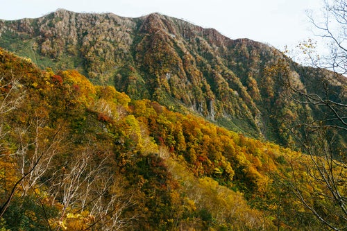 妙高山外輪と黄葉の写真