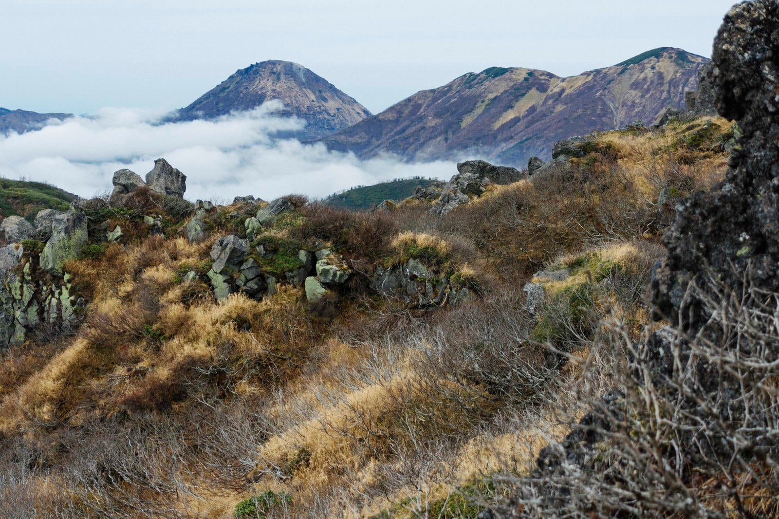 「妙高山山頂から見る新潟焼山」の写真