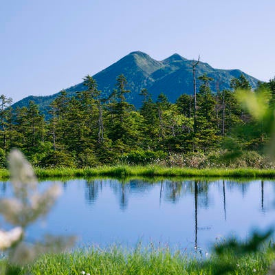 富士見田代越しの燧ヶ岳の写真