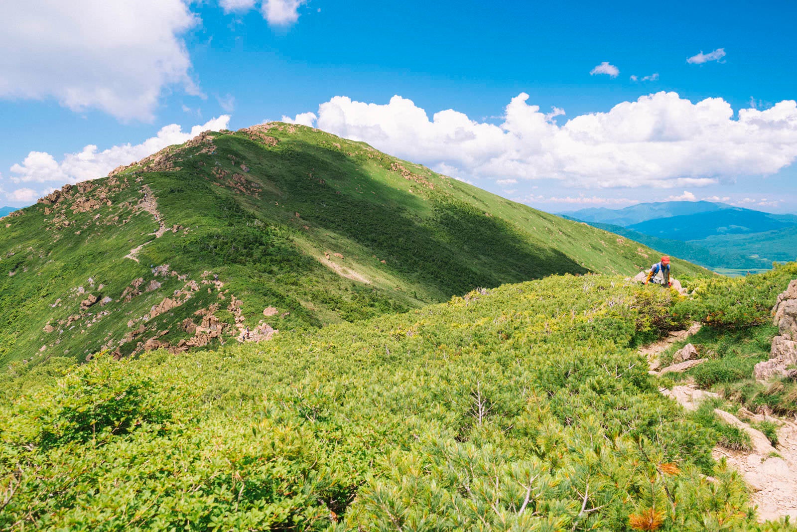 「小至仏山から見る至仏山」の写真