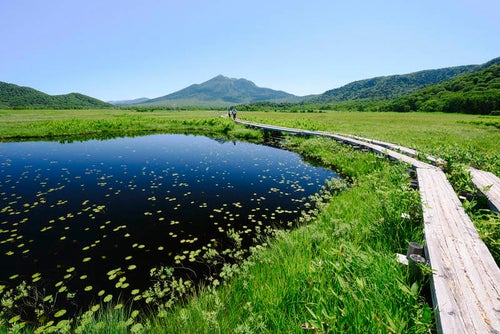 尾瀬の木道と巨大な池塘の写真