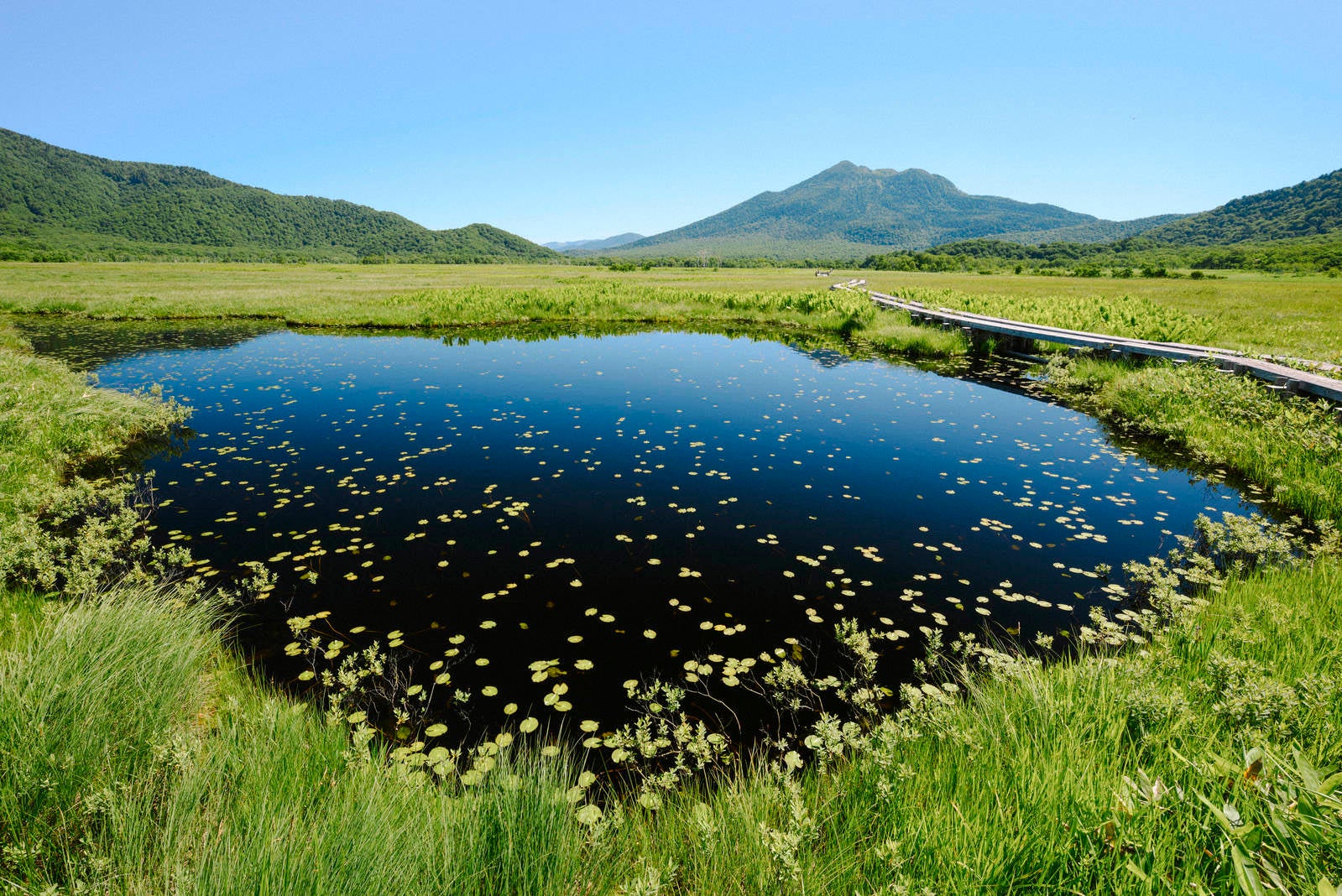 「尾瀬の池塘と燧ヶ岳」の写真