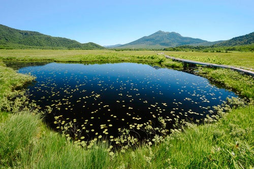 尾瀬の池塘と燧ヶ岳の写真