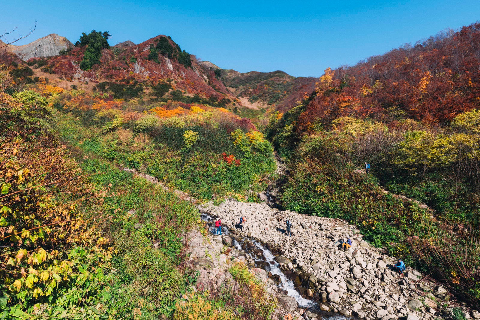 「荒菅沢から見る紅葉の山腹」の写真