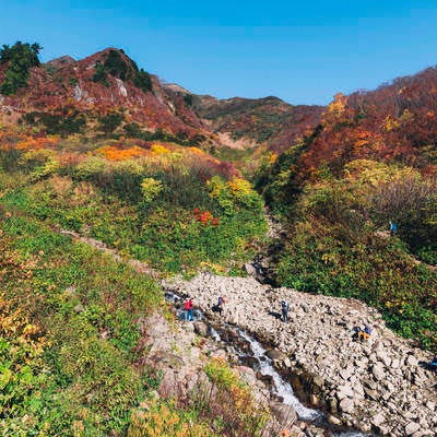 荒菅沢から見る紅葉の山腹の写真