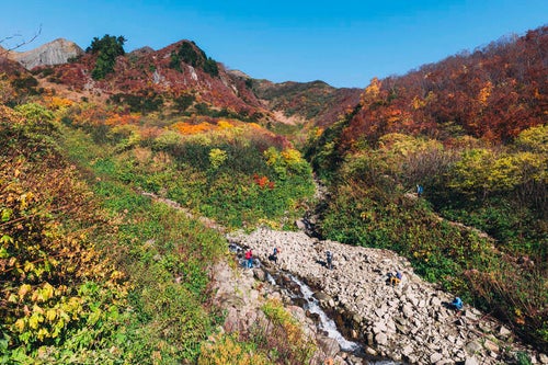 荒菅沢から見る紅葉の山腹の写真