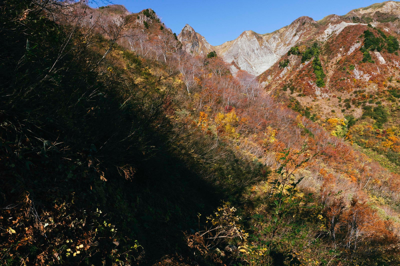「荒菅沢と雨飾山」の写真