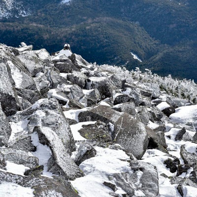 凍った岩が連なる蓼科山山頂付近の写真