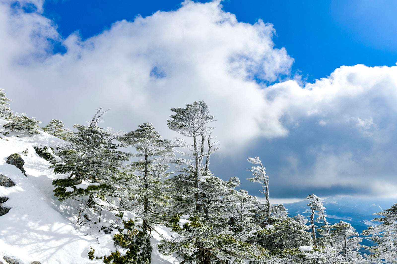 「凍った森と雲が広がる蓼科山の景色」の写真