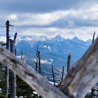 蓼科山の木々の間から見える八ヶ岳南部の山々の写真