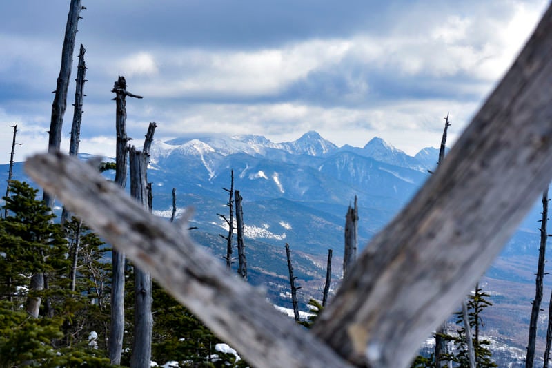 蓼科山の木々の間から見える八ヶ岳南部の山々の写真