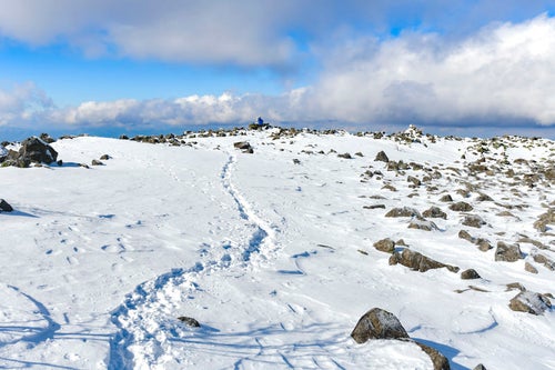 蓼科山の雪原につく一本のトレースの写真