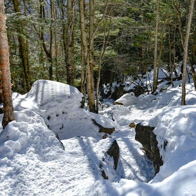 踏み固められた蓼科山の登山道の写真
