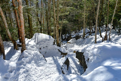 踏み固められた蓼科山の登山道の写真