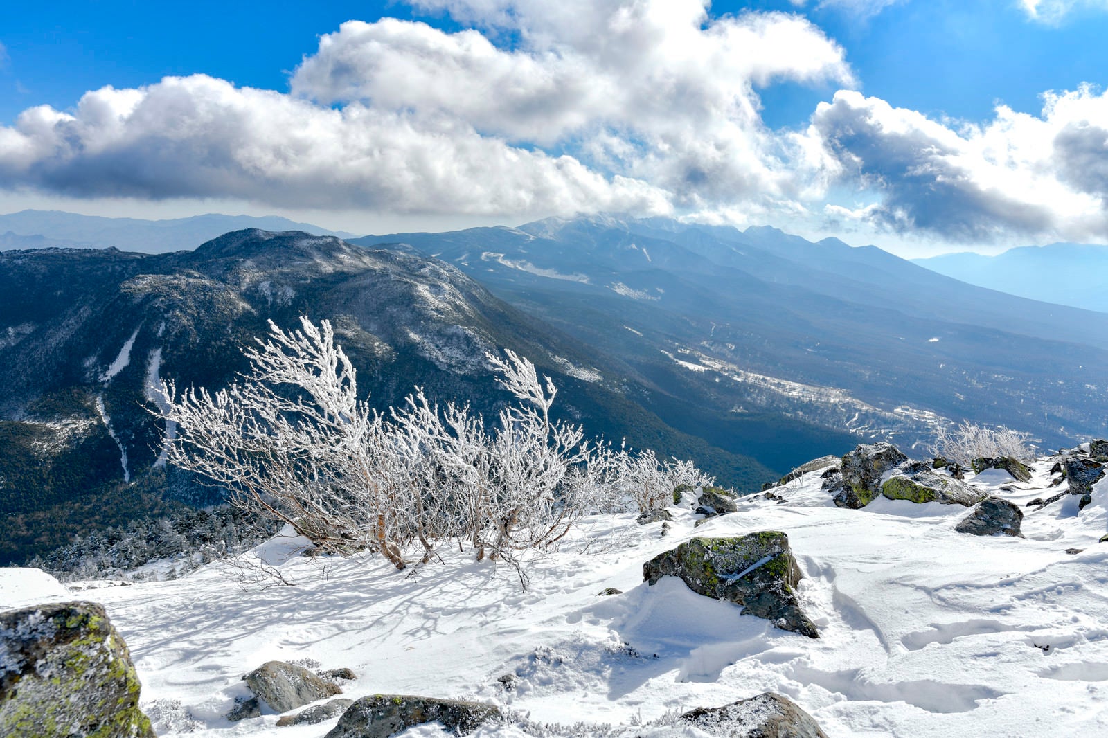 「霧氷と八ヶ岳南の景色（蓼科山）」の写真
