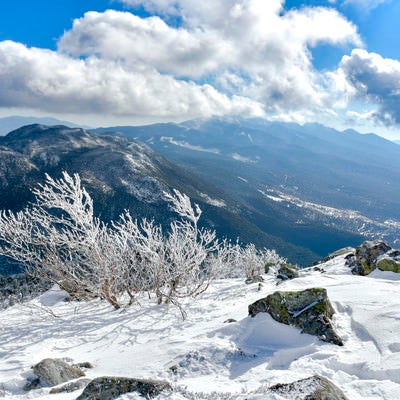 霧氷と八ヶ岳南の景色（蓼科山）の写真